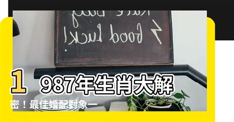 1987年屬什麼|1987是民國幾年？1987是什麼生肖？1987幾歲？